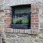 Thisa 4 Appartement Burg Reuland