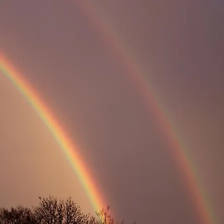 Thisa 4 Burg-Reuland