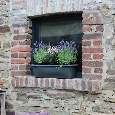 Thisa 4 Apartman Burg-Reuland