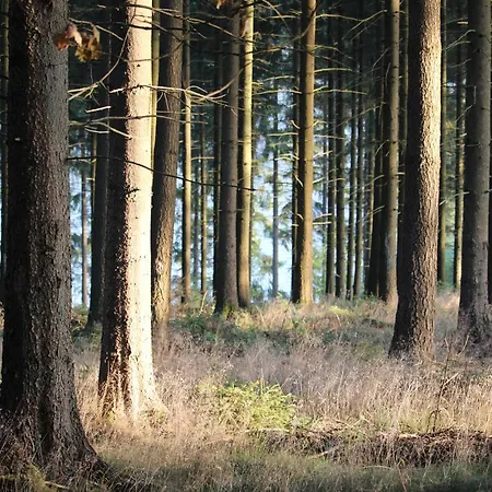 아파트 Thisa 4 부르그로랜드