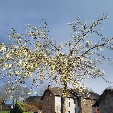 Thisa 4 * 부르그로랜드