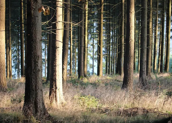 Apartamento Thisa 4 Burg Reuland